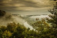 The Moselle