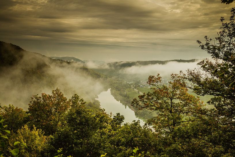 The Moselle by Janneke Masselink