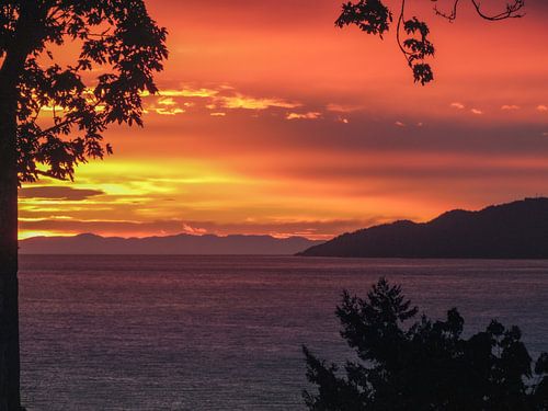 Coucher de soleil du parc Stanley, Vancouver, Canada