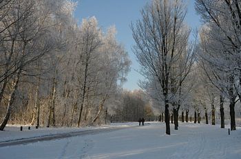 winterlandschap