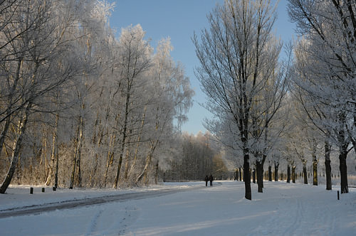 winterlandschap