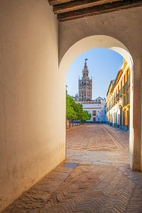Blick auf den Turm La Giralda, umrahmt von einem Bogen. Sevilla, Spanien