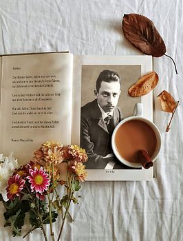 Vergänglichkeit und Wandel - H. Fischer