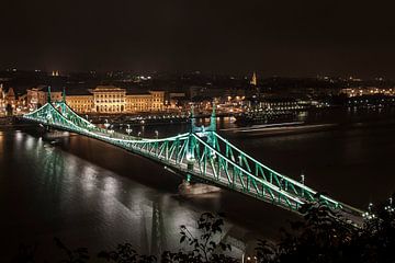 Freedom bridge Budapest by Elspeth Jong