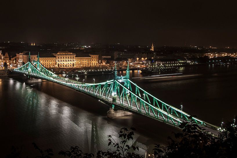 Freedom bridge Budapest par Elspeth Jong