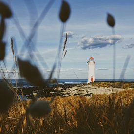 Vuurtoren in Port Fairy, Australië von Dyon Klaassen