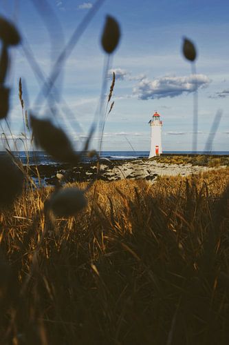 Vuurtoren in Port Fairy, Australië