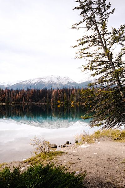 Fall vibes in the Canadian Rockies von swc07