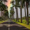 l’Allée Dumanoir, Palmen Allee in der Karibik auf Guadeloupe von Fotos by Jan Wehnert