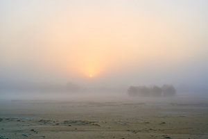 Lever de soleil sur un Beekhuizerzand brumeux