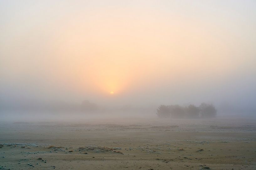 Sunrise over a misty Beekhuizerzand by Jenco van Zalk