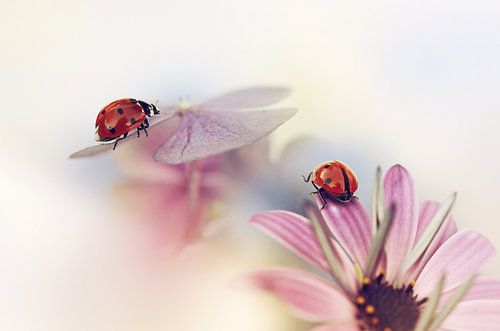 Derniers jours de l'été