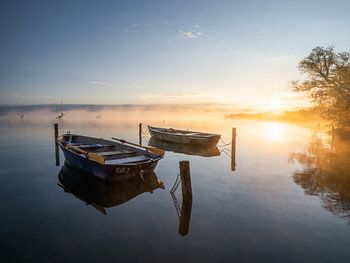 Bateaux à rames au soleil du matin II