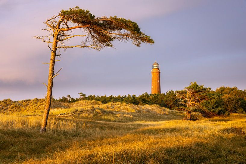 Darßer Ort in the golden evening light by Daniela Beyer