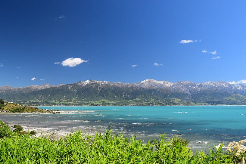Prachtig panorama uitzicht Kaikoura - Nieuw-Zeeland van Bianca Bianca