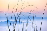 Betoverende zonsopgang: Pastelkleuren boven de Himalaya van Hans Kwaspen thumbnail