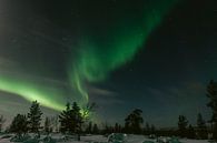 Nordlichter in Finnisch-Lappland | Polarkreis, Finnland von Suzanne Spijkers Miniaturansicht