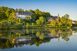Kasteel Stiege in de Harz, Duitsland van Michael Abid