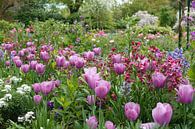 Tulpenpracht in de tuin van Monet par Aagje de Jong Aperçu