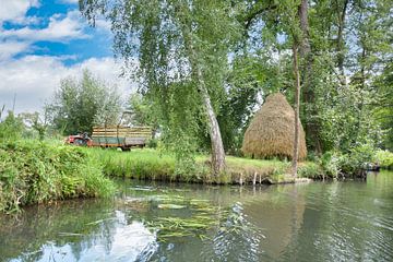 In the Spreewald by Johann Pavelka