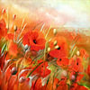 Coquelicot