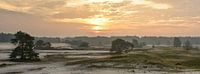 Zonsopkomst boven het Huslhorsterzand van Sjoerd van der Wal Fotografie thumbnail