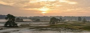 Lever de soleil sur le sable de Huslhorster sur Sjoerd van der Wal Photographie