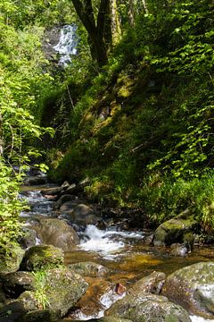 Wasserfall in der Trossachs von Johan Zwarthoed