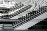 Dominant lines