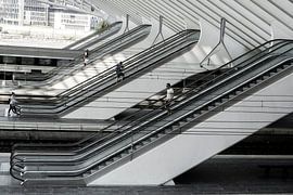 Dominant lines by Werner V.M.