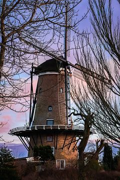 De Molen van Piet Alkmaar: Tussen verleden en luchtverhalen van Ilona Water