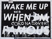 Wake me up when I'm famous mural in Amsterdam by Teun Janssen thumbnail