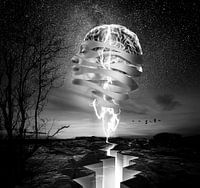 Reconnected