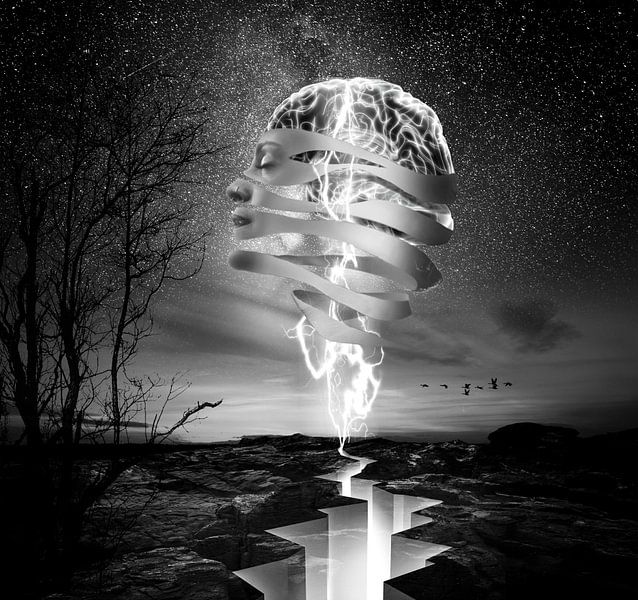 Reconnected by Jeroen van Wouden