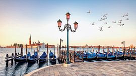 Envol d'oiseaux sur Manjik Pictures