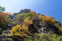 Piece of a mountain in the Aosta valley in Italy with trees in beautiful autumn colours