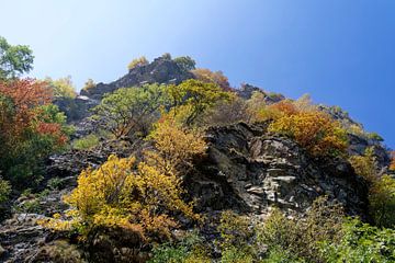 Stuk van een berg in het Aosta-dal in Italië met bomen in prachtige herfstkleuren van Hein Fleuren