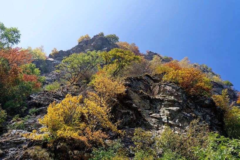 Piece of a mountain in the Aosta valley in Italy with trees in beautiful autumn colours by Hein Fleuren