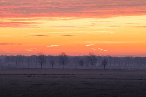 Bevroren polder bij zonsopkomst