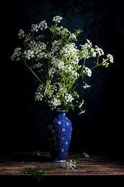 Dutch Glory Meadowlark by Clazien Boot