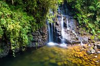 Wasserfall umgeben vom Dschungel (tropischer Regenwald) Guatemalas von Michiel Dros Miniaturansicht