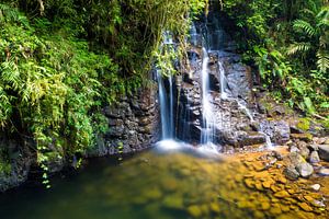 Wasserfall umgeben vom Dschungel (tropischer Regenwald) Guatemalas