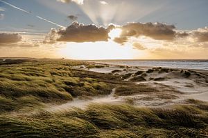 Helmgras met ondergaande zon. sur MICHEL WETTSTEIN