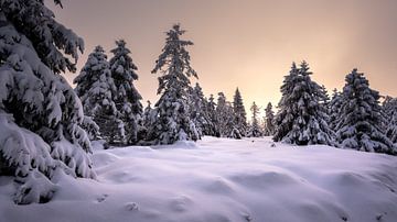 Avontuur Harz van Steffen Henze