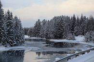 Scandinavisch winterlandschap von Carin van der Aa Miniaturansicht