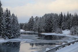 Scandinavisch winterlandschap by Carin van der Aa