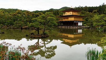 Goldem Temple - ver