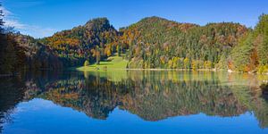 Herbst am Alatsee