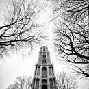 De geretaureerde Domtoren vanaf het Domplein met kale bomen van André Blom Fotografie Utrecht thumbnail