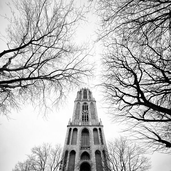 De geretaureerde Domtoren vanaf het Domplein met kale bomen van André Blom Fotografie Utrecht